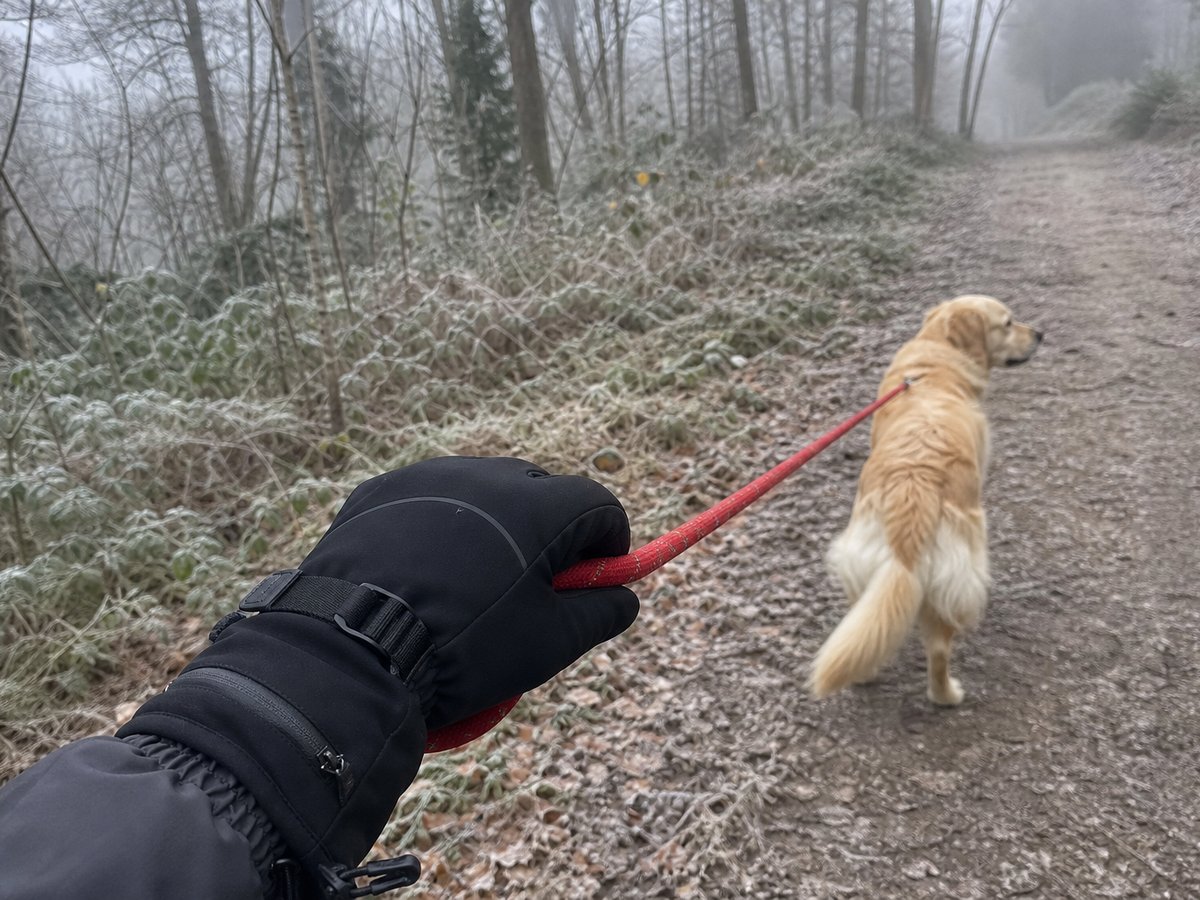 Gants HeatGuard pendant une promenade avec le chien